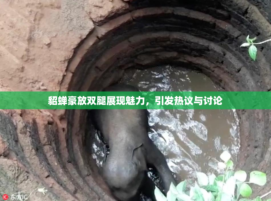 貂蝉豪放双腿展现魅力，引发热议与讨论