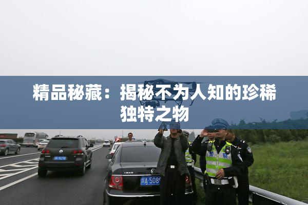 精品秘藏：揭秘不为人知的珍稀独特之物