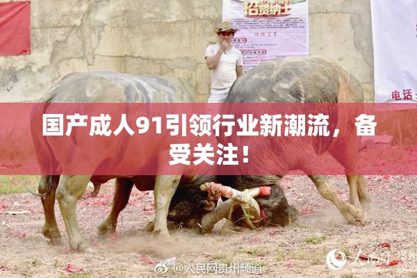 国产成人91引领行业新潮流，备受关注！