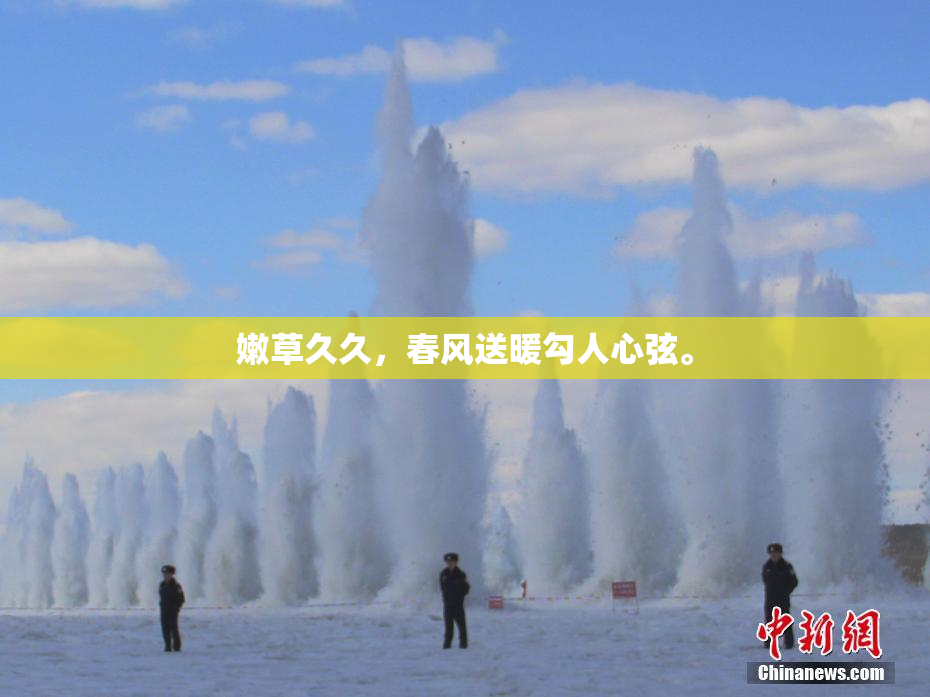 嫩草久久，春风送暖勾人心弦。