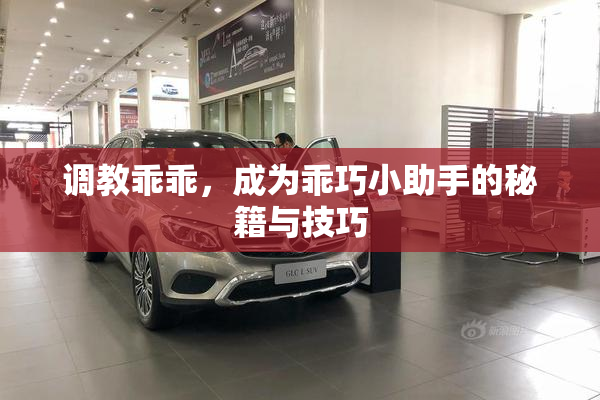 调教乖乖，成为乖巧小助手的秘籍与技巧