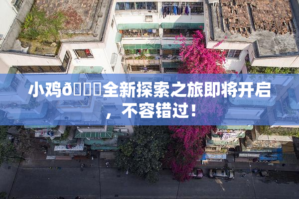 小鸡🐔全新探索之旅即将开启，不容错过！