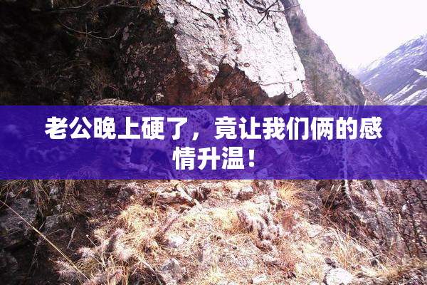 老公晚上硬了，竟让我们俩的感情升温！