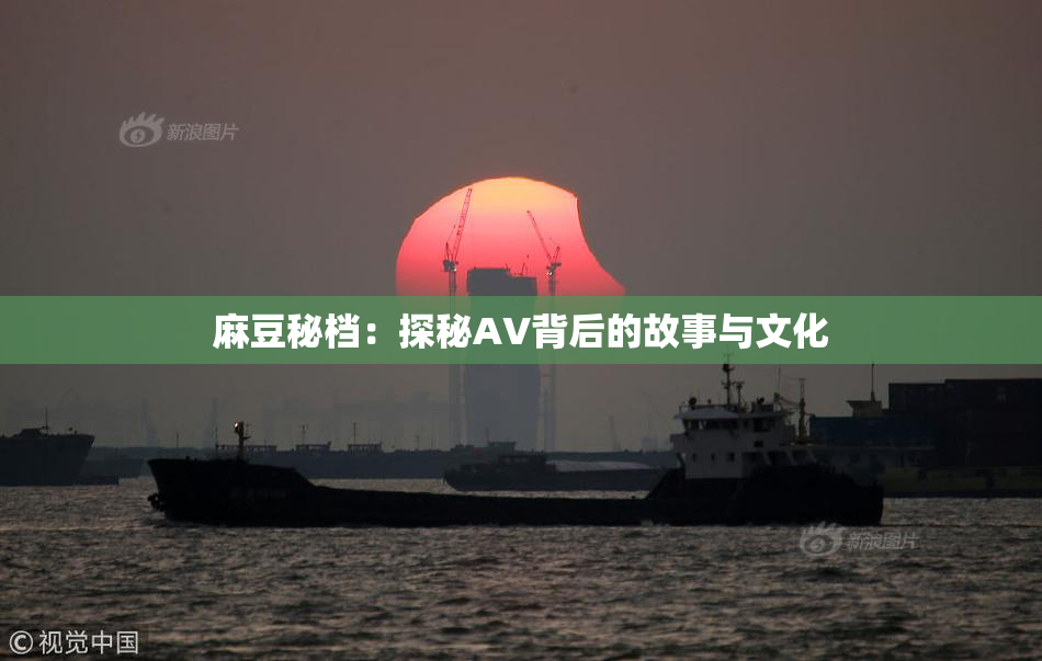 麻豆秘档：探秘AV背后的故事与文化