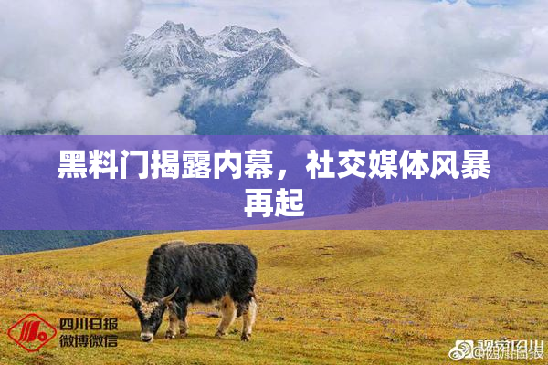 黑料门揭露内幕，社交媒体风暴再起