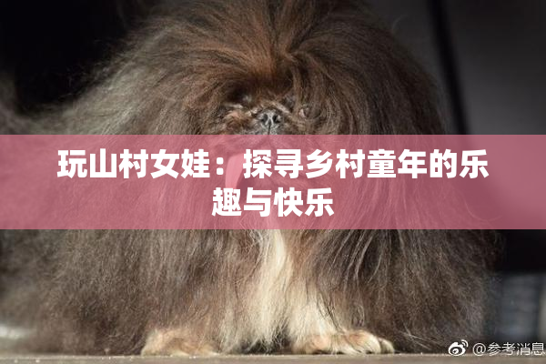 玩山村女娃：探寻乡村童年的乐趣与快乐