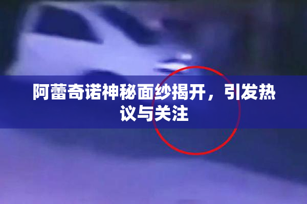 阿蕾奇诺神秘面纱揭开，引发热议与关注