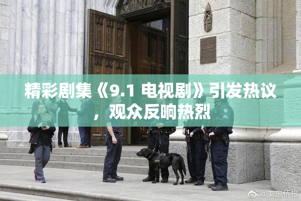 精彩剧集《9.1 电视剧》引发热议，观众反响热烈