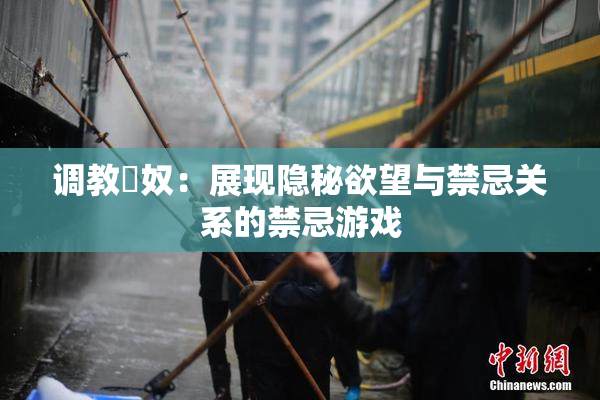 调教婬奴：展现隐秘欲望与禁忌关系的禁忌游戏