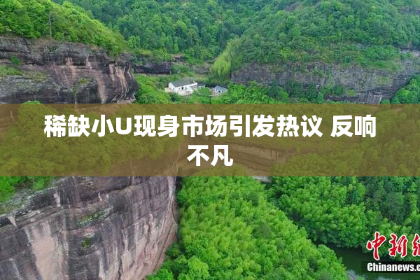 稀缺小U现身市场引发热议 反响不凡