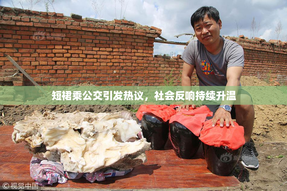 短裙乘公交引发热议，社会反响持续升温