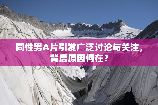 同性男A片引发广泛讨论与关注，背后原因何在？
