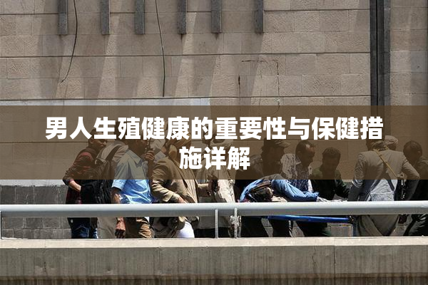 男人生殖健康的重要性与保健措施详解