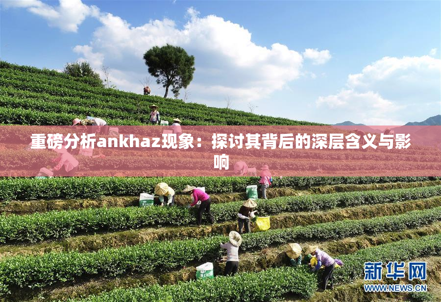 重磅分析ankhaz现象：探讨其背后的深层含义与影响