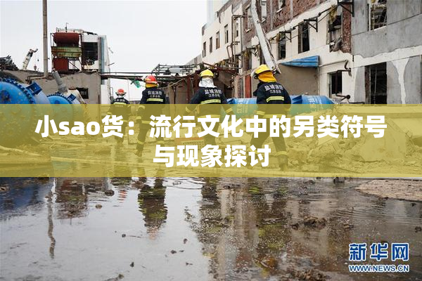 小sao货：流行文化中的另类符号与现象探讨