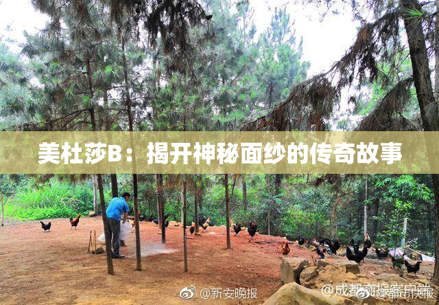 美杜莎B：揭开神秘面纱的传奇故事