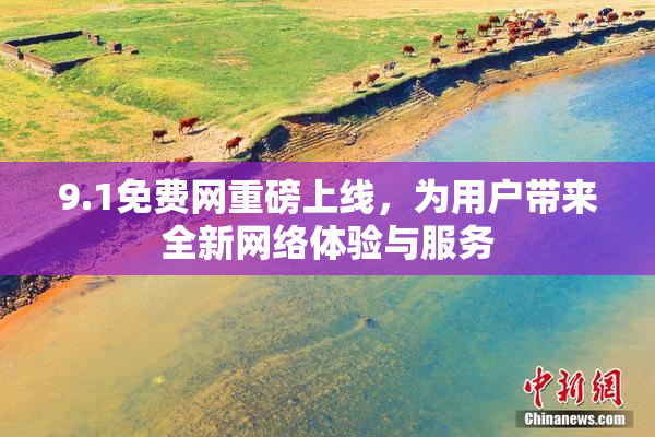 9.1免费网重磅上线，为用户带来全新网络体验与服务