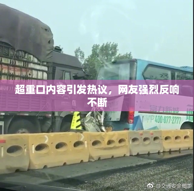 超重口内容引发热议，网友强烈反响不断