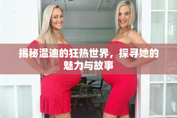 揭秘温迪的狂热世界，探寻她的魅力与故事