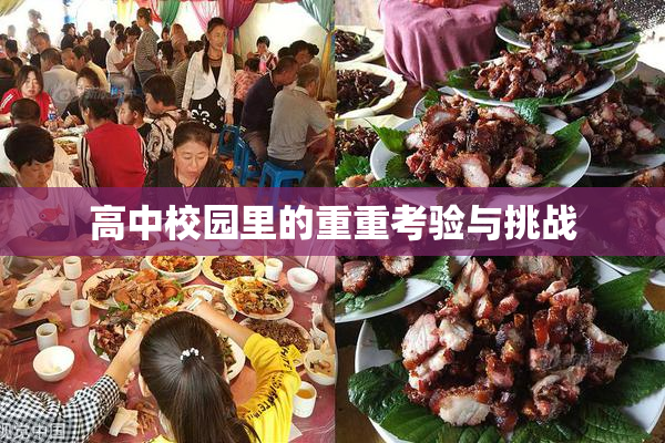 高中校园里的重重考验与挑战