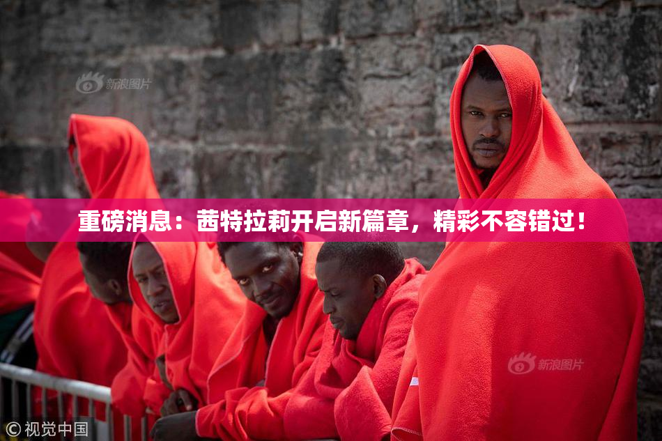 重磅消息：茜特拉莉开启新篇章，精彩不容错过！