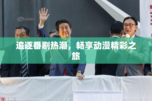 追逐番剧热潮，畅享动漫精彩之旅