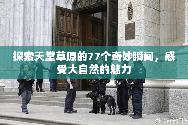探索天堂草原的77个奇妙瞬间，感受大自然的魅力
