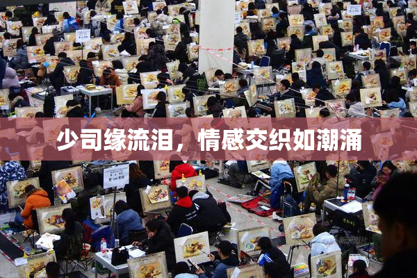 少司缘流泪，情感交织如潮涌