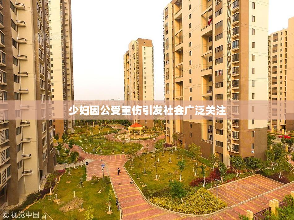 少妇因公受重伤引发社会广泛关注