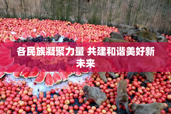 各民族凝聚力量 共建和谐美好新未来