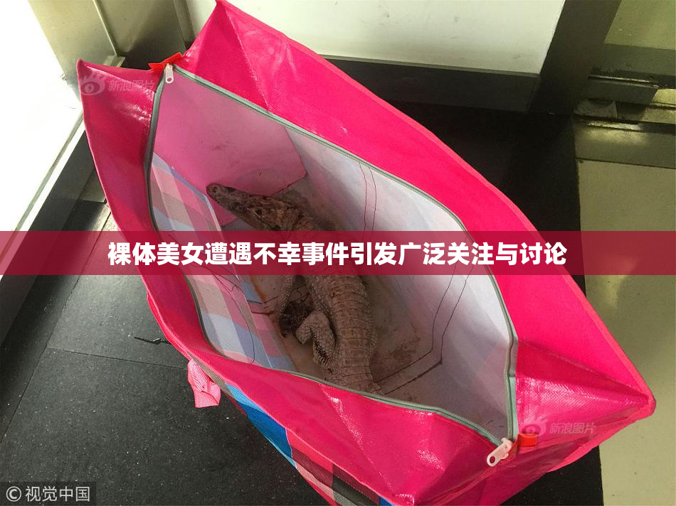 裸体美女遭遇不幸事件引发广泛关注与讨论