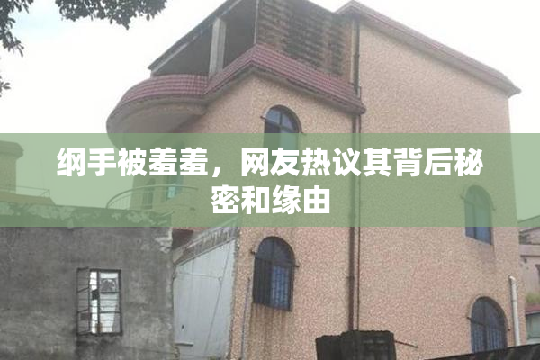 纲手被羞羞，网友热议其背后秘密和缘由