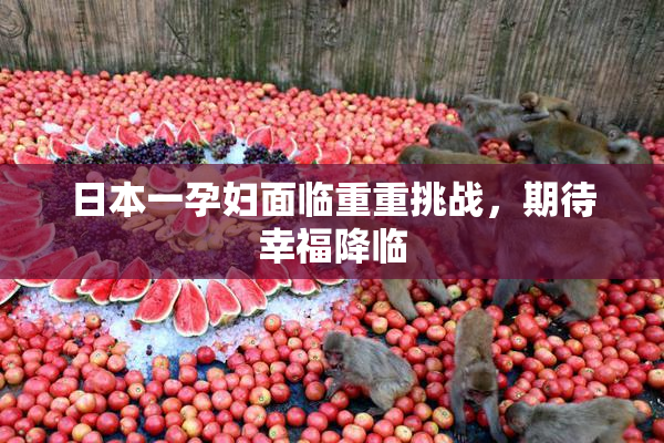 日本一孕妇面临重重挑战，期待幸福降临