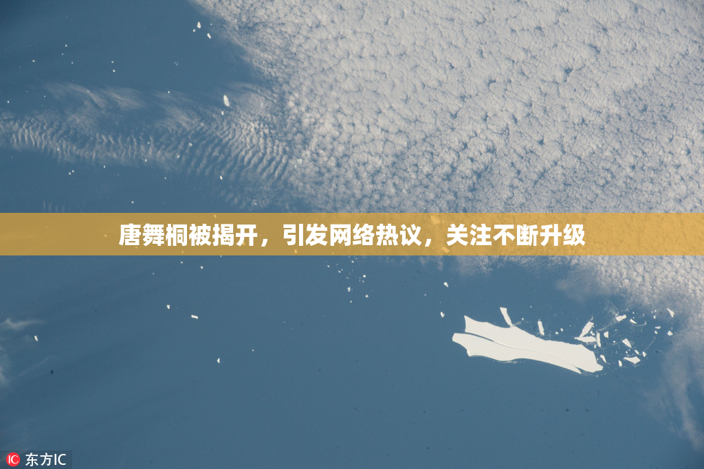 唐舞桐被揭开，引发网络热议，关注不断升级
