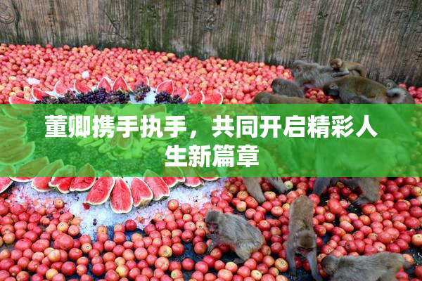 董卿携手执手，共同开启精彩人生新篇章