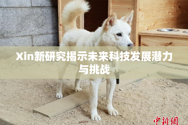 Xin新研究揭示未来科技发展潜力与挑战