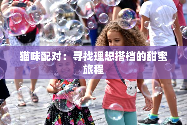 猫咪配对：寻找理想搭档的甜蜜旅程