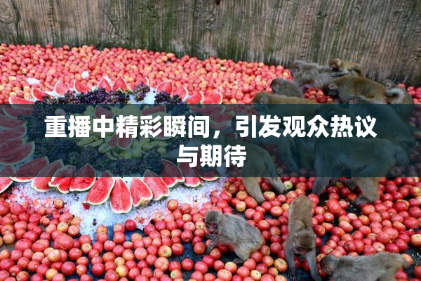 重播中精彩瞬间，引发观众热议与期待