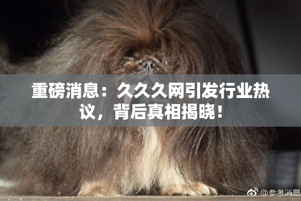 重磅消息：久久久网引发行业热议，背后真相揭晓！