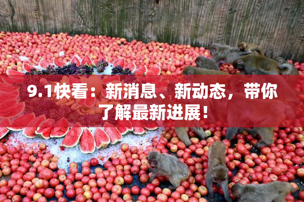 9.1快看：新消息、新动态，带你了解最新进展！