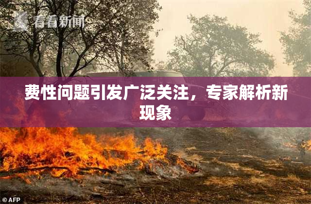 费性问题引发广泛关注，专家解析新现象