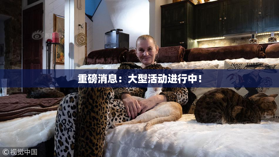 重磅消息：大型活动进行中！