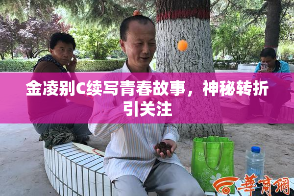 金凌别C续写青春故事，神秘转折引关注