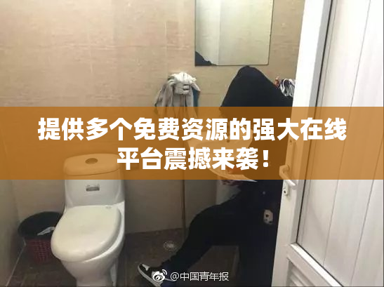 提供多个免费资源的强大在线平台震撼来袭！