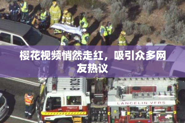 樱花视频悄然走红，吸引众多网友热议