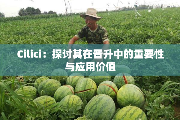 Cilici：探讨其在晋升中的重要性与应用价值