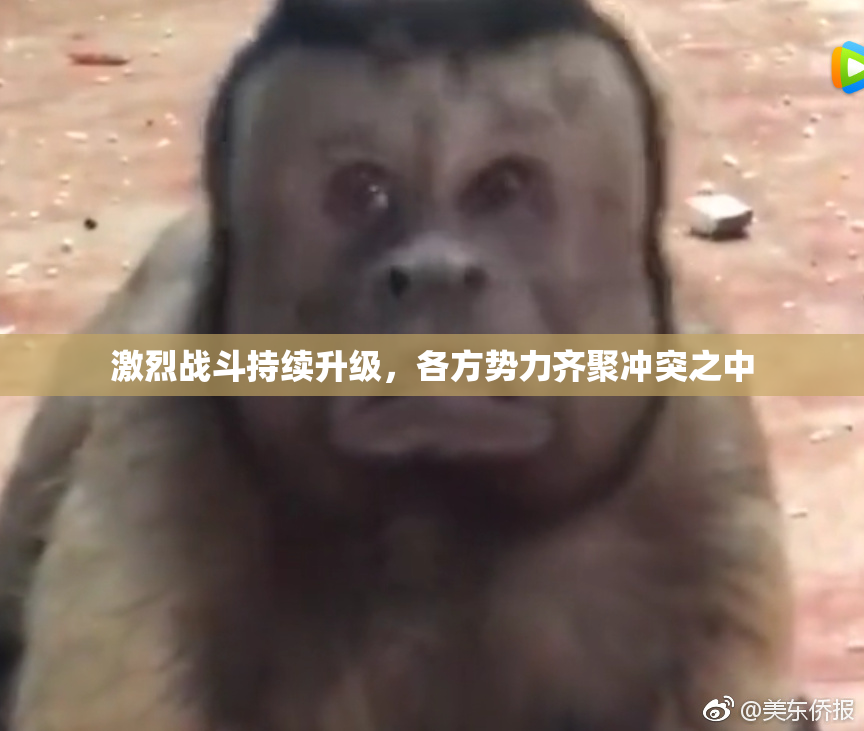 激烈战斗持续升级，各方势力齐聚冲突之中