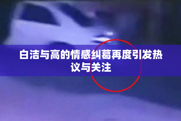 白洁与高的情感纠葛再度引发热议与关注