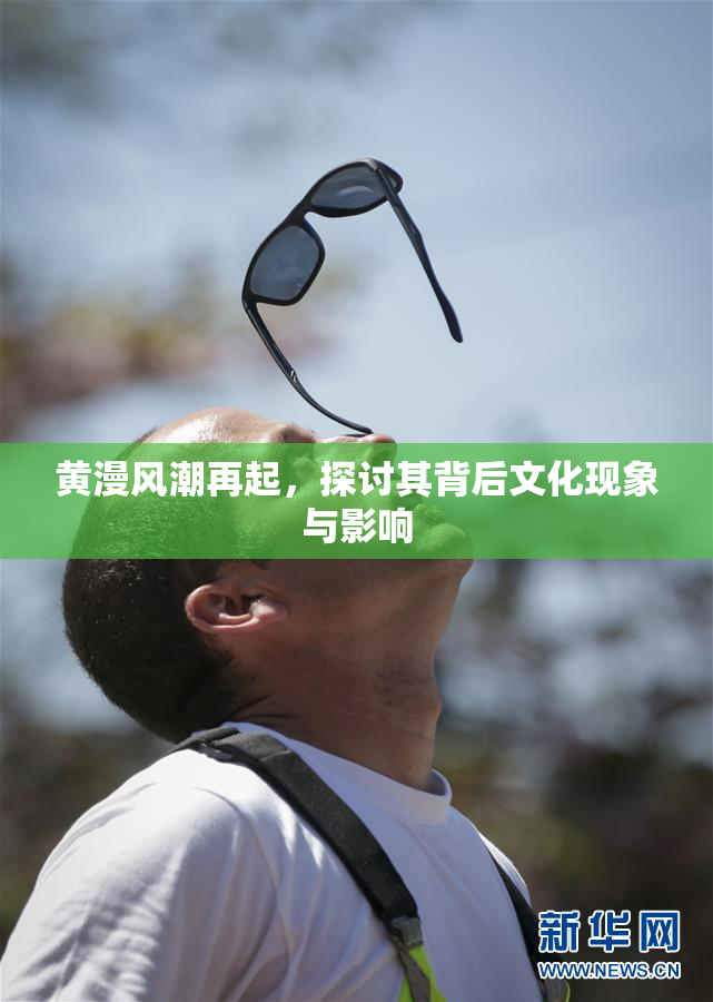 黄漫风潮再起，探讨其背后文化现象与影响