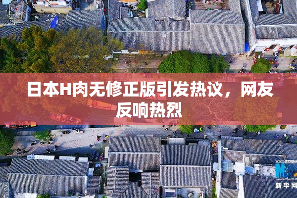 日本H肉无修正版引发热议，网友反响热烈